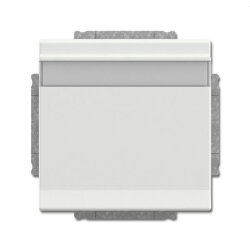 Busch-Jaeger Steckdoseneinsatz 20 EUKNB-884