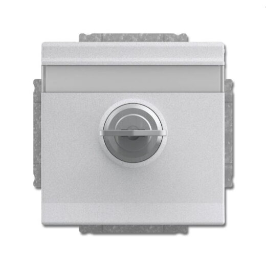 Busch-Jaeger Steckdoseneinsatz 20 EUKNBSL-83