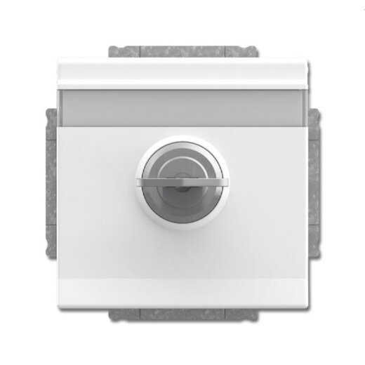 Busch-Jaeger Steckdoseneinsatz 20 EUKNBSL-84