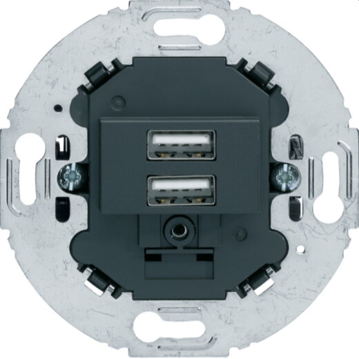 Berker USB-Ladesteckdose 230V 2fach 3.0A Tragring rund anthrazit 260215