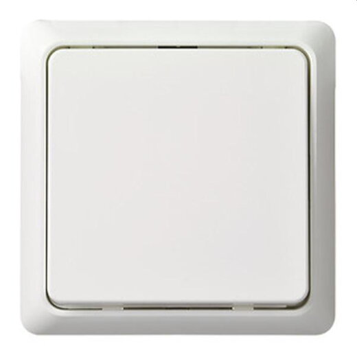 ELSO Taster 506200 42V/1A Aufputz RENOVIERUNG pw