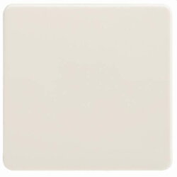 ELSO Wippe 213600 Universal-Kreuzschalter/Taster pw