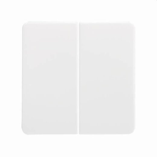 ELSO Serienwippe 213504 Serienschalter/Doppeltaster rw