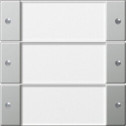 Gira Wippenset 2133600 3fach BSF System 55 Klar/Edelst....