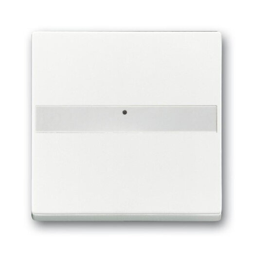 Busch-Jaeger 1764 NLI-84 Wippe