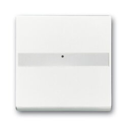 Busch-Jaeger 1764 NLI-84 Wippe