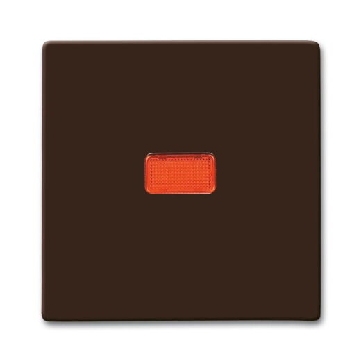 Busch-Jaeger 2107-31 AW44 Wippe