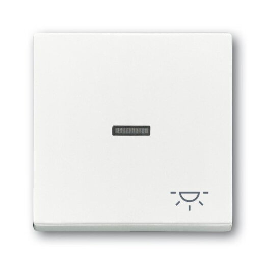 Busch-Jaeger 1789 LI-84 Wippe