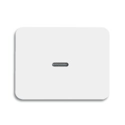 Busch-Jaeger 1787-24G alpha nea Wippe