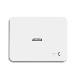 Busch-Jaeger 1789 TR-24G alpha nea Wippe