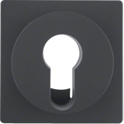 Berker Zentralstück 15076086 anthrazit samt 15076086