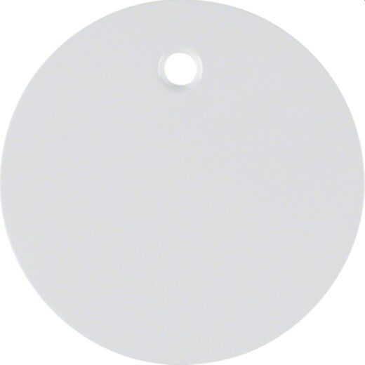 Berker Zentralstück 11462089 polarweiss glänzend 11462089