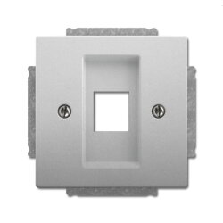 Busch-Jaeger Zentralscheibe 2561-866