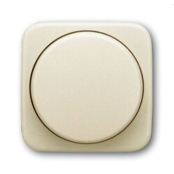 Busch-Jaeger Zentralscheibe 2115/11-212-500 SI