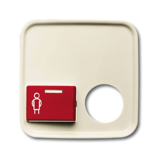 Busch-Jaeger Zentralscheibe 2548-022 B-212-101 SI