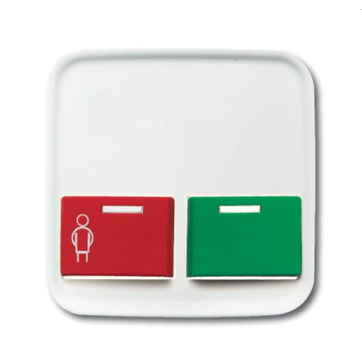 Busch-Jaeger Zentralscheibe 2548-642 B-214-101 Reflex-SI