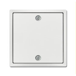 Busch-Jaeger Zentralscheibe 1796-884 für...