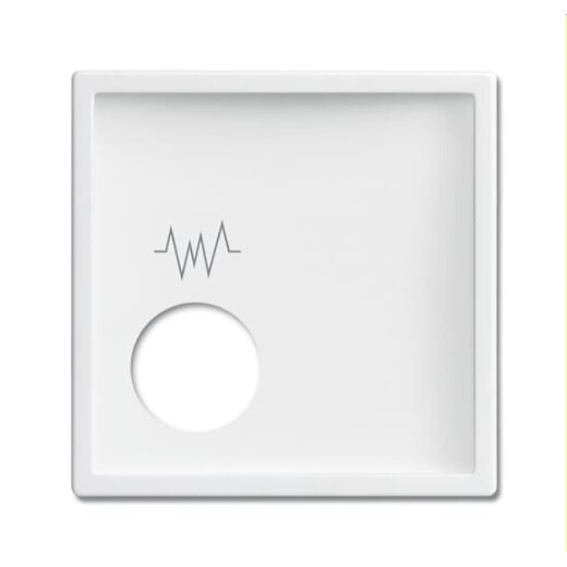 Busch-Jaeger Zentralscheibe 2548-020 F-84, weiß