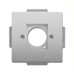 Busch-Jaeger Zentralscheibe 2553-866, edelstahl