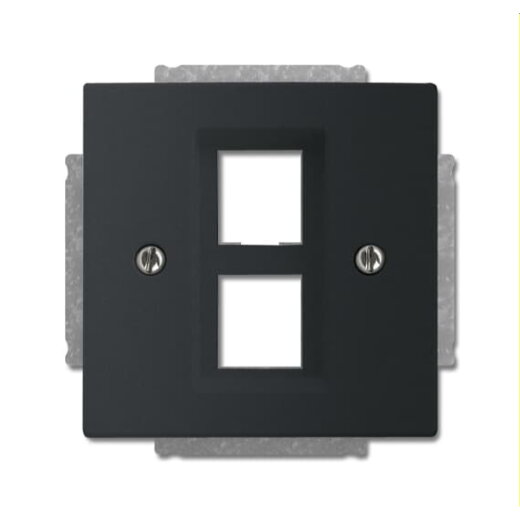 Busch-Jaeger Zentralscheibe 2561-02-885, schwarz matt