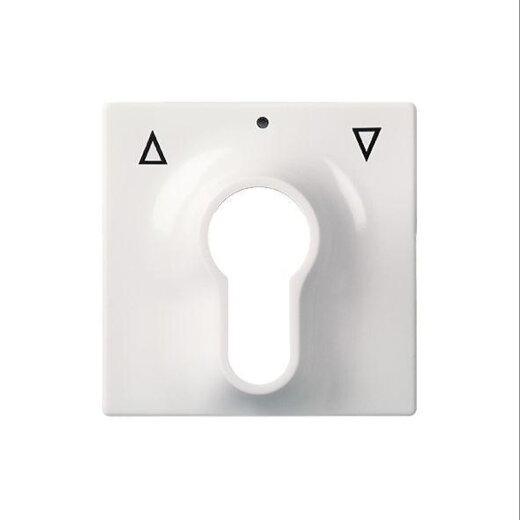 ELSO Zentralplatte 363034  Schlüsselschalter JOY reinweiß