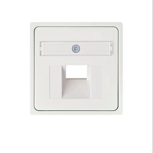 ELSO Zentralplatte 366504 für 1xRJ45 JOY reinweiß