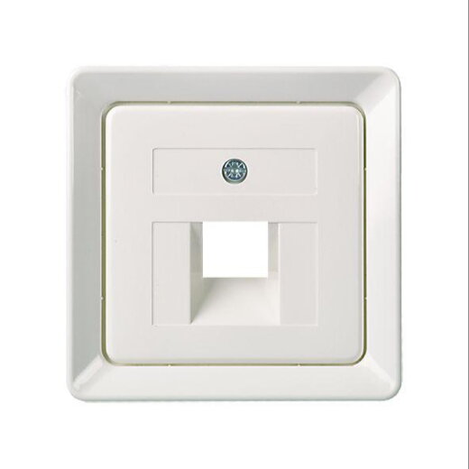 ELSO Zentralplatte 503654 für 1xRJ45 reinweiß