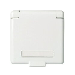 ELSO Zentralplatte 223164  Steckd. Klappdeckel u....