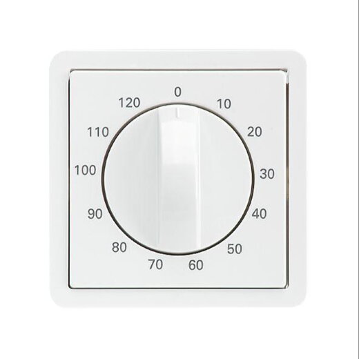 ELSO Zentralplatte 223094 Drehbetät. 120min reinweiß