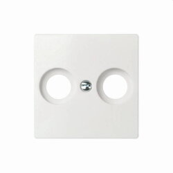 ELSO Zentralplatte 266024 Antenntenst. 2Loch JOY...