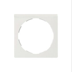 ELSO Zentralplatte 363004 für Steckdose JOY...