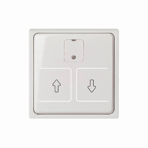 ELSO Zentralplatte 367254 elektr. Rollladenschalter JOY rw