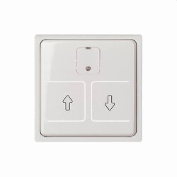 ELSO Zentralplatte 367254 elektr. Rollladenschalter JOY rw