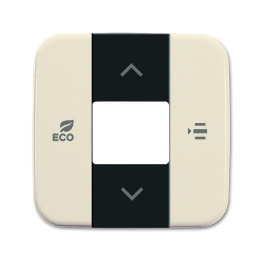 Busch-Jaeger Zentralscheibe 6236-212