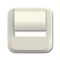 Busch-Jaeger Zentralscheibe 6477-212 für powerDock