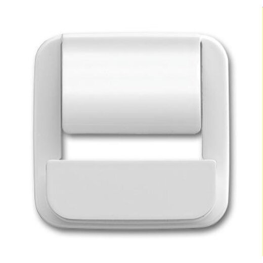 Busch-Jaeger Zentralscheibe 6477-214 für powerDock