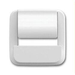 Busch-Jaeger Zentralscheibe 6477-214 für powerDock