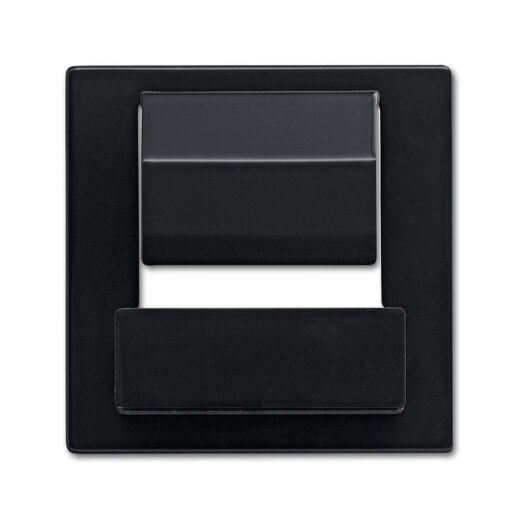 Busch-Jaeger Zentralscheibe 6477-81 für powerDock