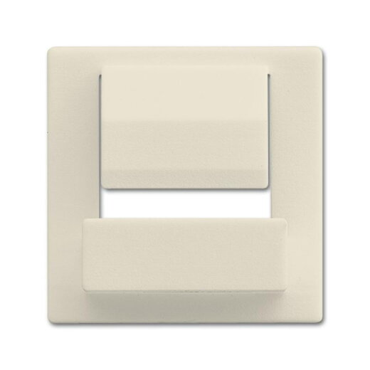 Busch-Jaeger Zentralscheibe 6477-82 für powerDock