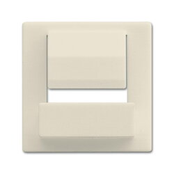 Busch-Jaeger Zentralscheibe 6477-82 für powerDock