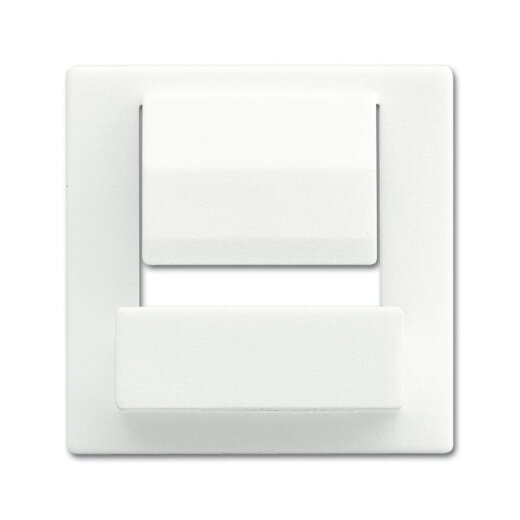 Busch-Jaeger Zentralscheibe 6477-884 für powerDock