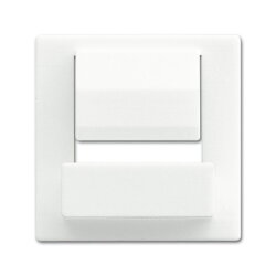 Busch-Jaeger Zentralscheibe 6477-884 für powerDock