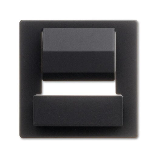 Busch-Jaeger Zentralscheibe 6477-885 für powerDock