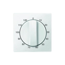 Merten Zentralplatte 539419 polarweiss System M