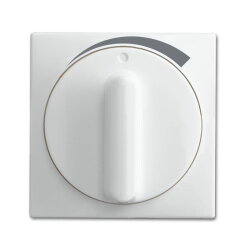 Busch-Jaeger Zentralscheibe 1740 DR/03-914 mit Drehgriff