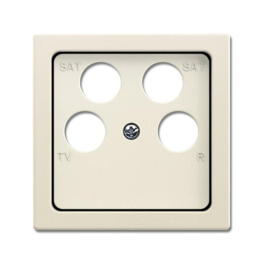 Busch-Jaeger Zentralscheibe 1743/10-04-82