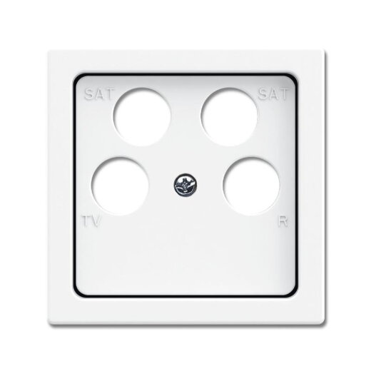 Busch-Jaeger Zentralscheibe 1743/10-04-84