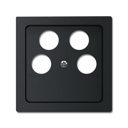 Busch-Jaeger Zentralscheibe 1743/10-04-885