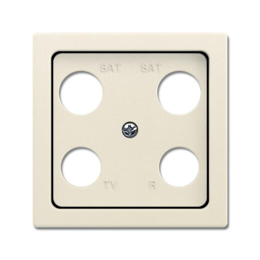 Busch-Jaeger Zentralscheibe 1743-04-82