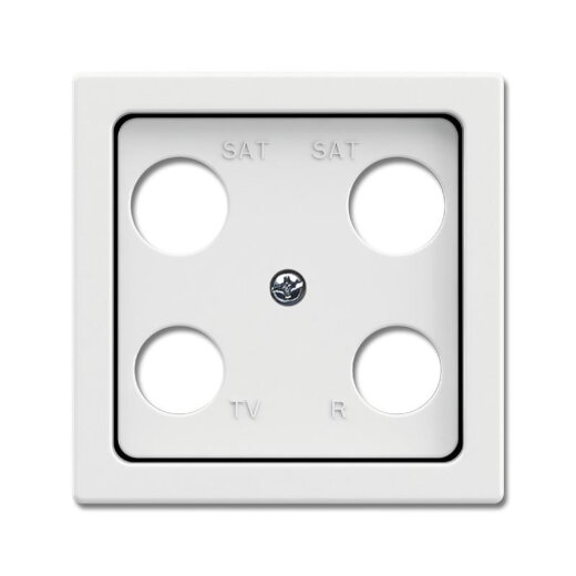 Busch-Jaeger Zentralscheibe 1743-04-884